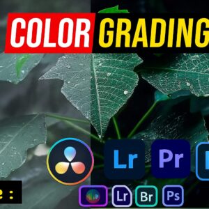 Enhance & Color Grade Your Photos with Professional Photoshop & Lightroom Editing