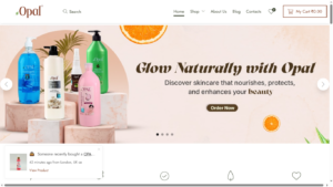 Google Shopping Ads for Opal Personal Care